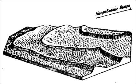 Параболические дюны