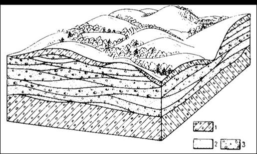 Камы, их форма и строение