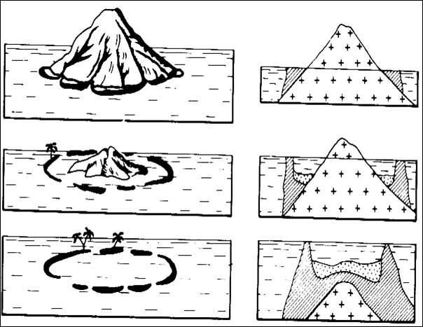 Образование атолла схема