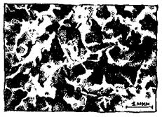 Осадок
монтмориллонита под растровым электронным микроскопом
