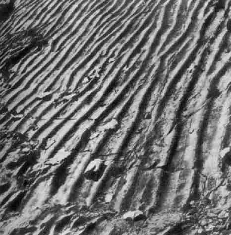 Волноприбойная рябь в песчаниках Дакоты