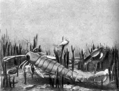 Реконструкционный облик самого крупного из известных "морских скорпионов"