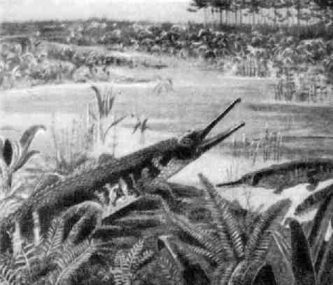 Rutiodon, один из многочисленных видов ползающих рептилий