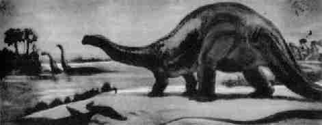 Apatosaurus, четвероногий динозавр