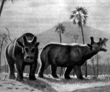Uintatherium, травоядное млекопитающее