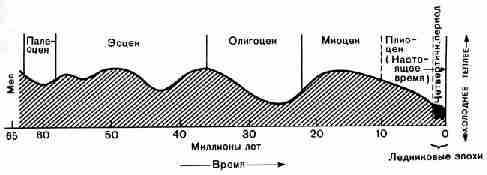 Предполагаемая схема колебаний температур