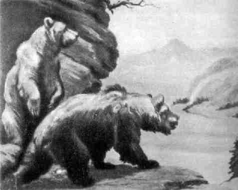 Европейский пещерный медведь (Ursus spelaeus)